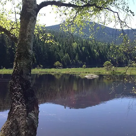 Apartamento Bayerwald 5 Breitenberg (Lower Bavaria)