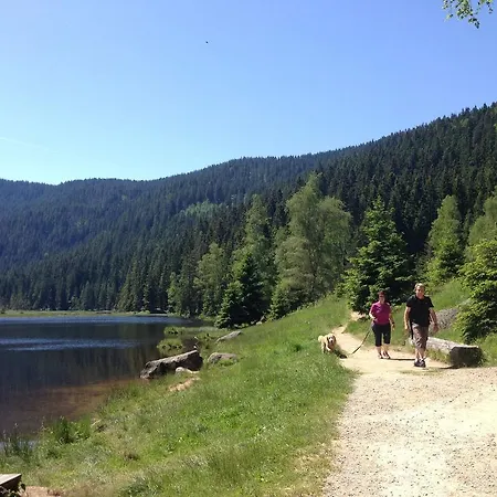 Bayerwald 5 * Breitenberg (Lower Bavaria)